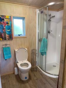 a bathroom with a toilet and a shower at Hideaway Haven in Raglan +10 photos