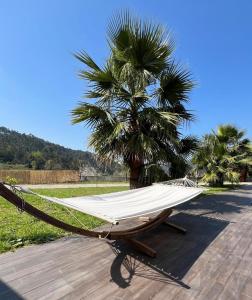 a hammock sitting in front of a palm tree at Préfacio Do Silêncio in Godinhaços