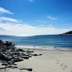 a beach with rocks on the shore of the water at Architect Villa By Cliff Bathing In High Coast in Härnösand