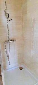 a bathroom with a shower with a toilet in it at Le Vivastella in Cucq +17 photos
