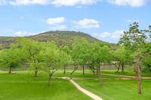 a field with trees and a mountain in the background at Cliffside Paradise Waterfront in New Braunfels