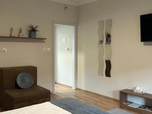 a living room with a chair and a television at Thermal Garden Weninger Apartmanok in Kiskunhalas