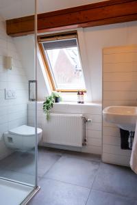 a bathroom with a toilet and a sink and a window at Short Stay Wageningen in Wageningen