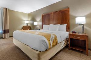 a large bed in a hotel room with two lamps at Quality Inn Dover in Dover +27 photos