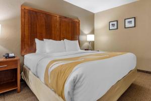 a bedroom with a large bed with a wooden headboard at Quality Inn Dover in Dover