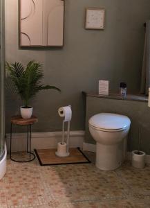 a bathroom with a toilet and a potted plant at Pierres & prée Cocon de Charme et sa terrasse étoilée in Mettet