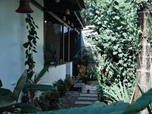 a garden with plants on the side of a building at Shampagne Villa in Cochin