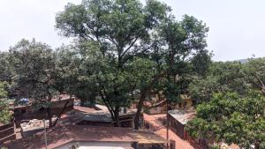 a large tree in the middle of a building at Hotel M N Matheran in Matheran