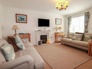 a living room with two couches and a fireplace at Treveline in Bodmin