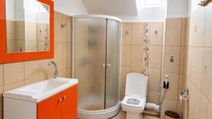 a bathroom with a shower and a toilet and a sink at Vis de Primăvară, vilă întreagă cu 4 dormitoare și vedere la lac in Limanu +14 photos