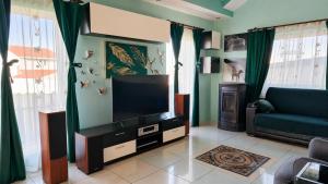 a living room with a tv and a couch at Vis de Primăvară, vilă întreagă cu 4 dormitoare și vedere la lac in Limanu