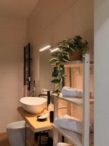 a bathroom with a sink and a toilet and a plant at La Mora Rooms in Linguaglossa +26 photos