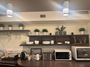 a kitchen with a counter top with a microwave and appliances at HOF Apartments in Kaunas