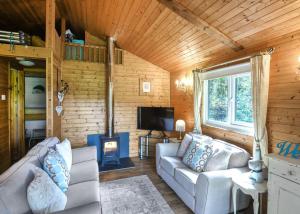a living room with a couch and a tv in a cabin at Garth Holiday Park in Machynlleth