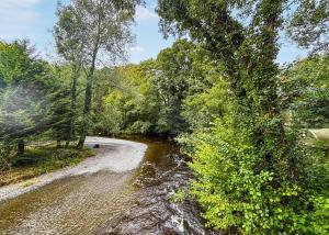 a stream of water with trees on the side at Garth Holiday Park in Machynlleth +13 photos