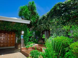 a house covered in ivy with trees and plants at Zakumi Guesthouse in Kokstad