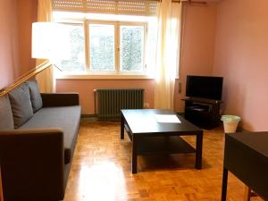 TV a/nebo společenská místnost v ubytování Apartment Lugo Rooms