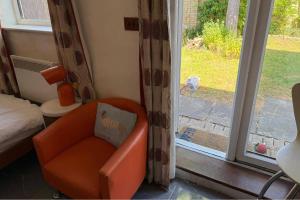 an orange chair in a room with a window at Studio - Parking - Garden - WiFi - Sleeps 2 in Cambridge +2 photos