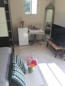 TV a/nebo společenská místnost v ubytování B&B Charming Saint Paul de Vence
