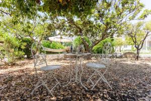 two chairs and a table under a tree at Villa Ciccarese in Cursi +6 photos
