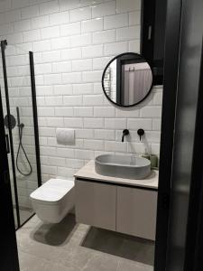 a bathroom with a sink and a mirror and a toilet at Room 44 Garden 1 in Osijek