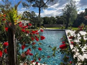 a swimming pool in a garden with red flowers at Calma Blanca in Castries