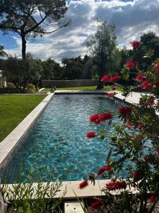 a swimming pool in a garden with red flowers at Calma Blanca in Castries