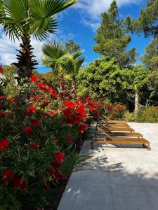 a row of benches in a garden with red flowers at Calma Blanca in Castries