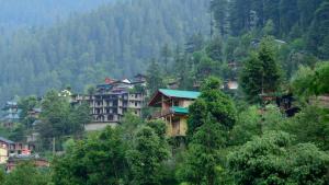 a group of houses on a hill with trees at The Midhimalayan Jibhi in Jibhi +29 photos