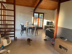 a cat standing in a living room with a table at Chambre in Saint-Pierre-dʼAurillac