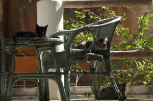 Foto da galeria de L'Oasi Villaggio Albergo em Favignana
