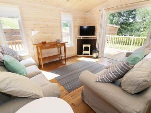 a living room with a couch and a television in a cabin at Kingfisher in Ross on Wye