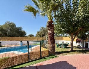 a palm tree next to a swimming pool at Casa Generoso en Navalcán in Navalcán