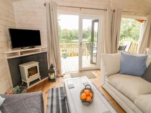 a living room with a fireplace and a television at Mallard in Ross on Wye