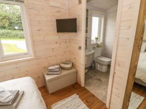 a bathroom with a toilet and a tv on a wall at Mallard in Ross on Wye +14 photos