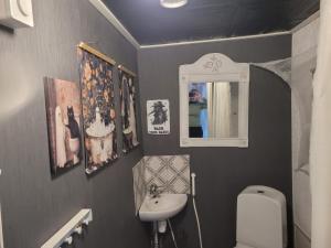 a bathroom with a sink and a toilet and a mirror at Elämysmajoitus Olipa Kerran in Turku +35 photos