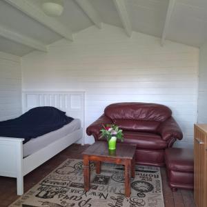 a bedroom with a couch and a bed and a table at Casabandow in Schwaan