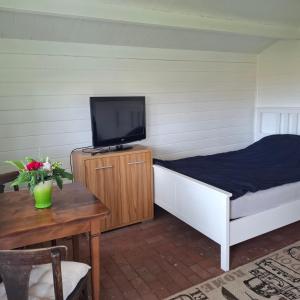 a bedroom with a bed and a tv and a table at Casabandow in Schwaan