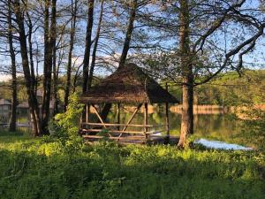 a gazebo in the grass next to a lake at Козацька Фортеця in Pliskachevka