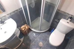 a bathroom with a shower and a toilet and a sink at Apartamento Playa Foz in Foz +19 photos