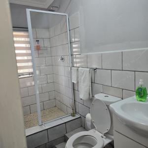 a bathroom with a shower and a toilet and a sink at The Family Room in Krugersdorp +38 photos