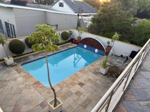 a swimming pool with a palm tree on a patio at Golden Feathers Lodge in Cape Town