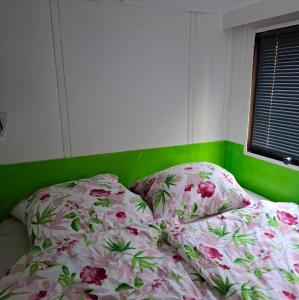 a bed with a green headboard and pillows at Casabandow in Schwaan