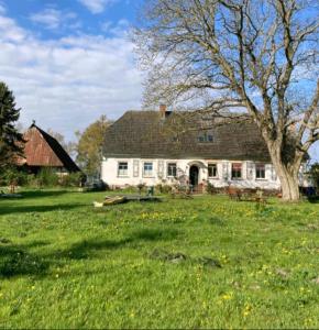 a large white house with a tree in a field at Casabandow in Schwaan