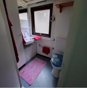 a small bathroom with a sink and a toilet at Casabandow in Schwaan