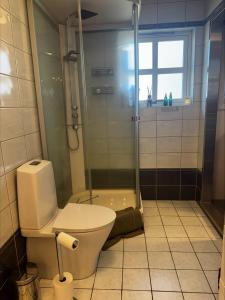 a bathroom with a toilet and a glass shower at Apartment close to Leknes airport in Leknes +7 photos