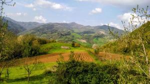 a view of a field with mountains in the background at Agriturismo Coradosso "La casetta" in Selvapiana +5 photos