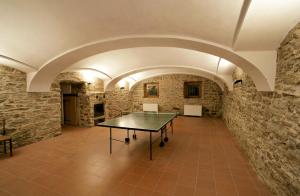 a ping pong table in a room with stone walls at Apartmány Chalupa u Floriánka in Dolní Morava