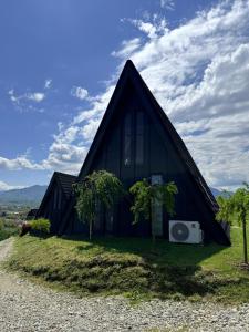 a black house on a hill with trees in front of it at Vatra Barsei in Tohanu Nou