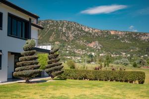 a cone shaped tree in front of a house with a mountain at Gaia Villa in Thesprotikón